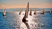 pic for Sailing Boats 